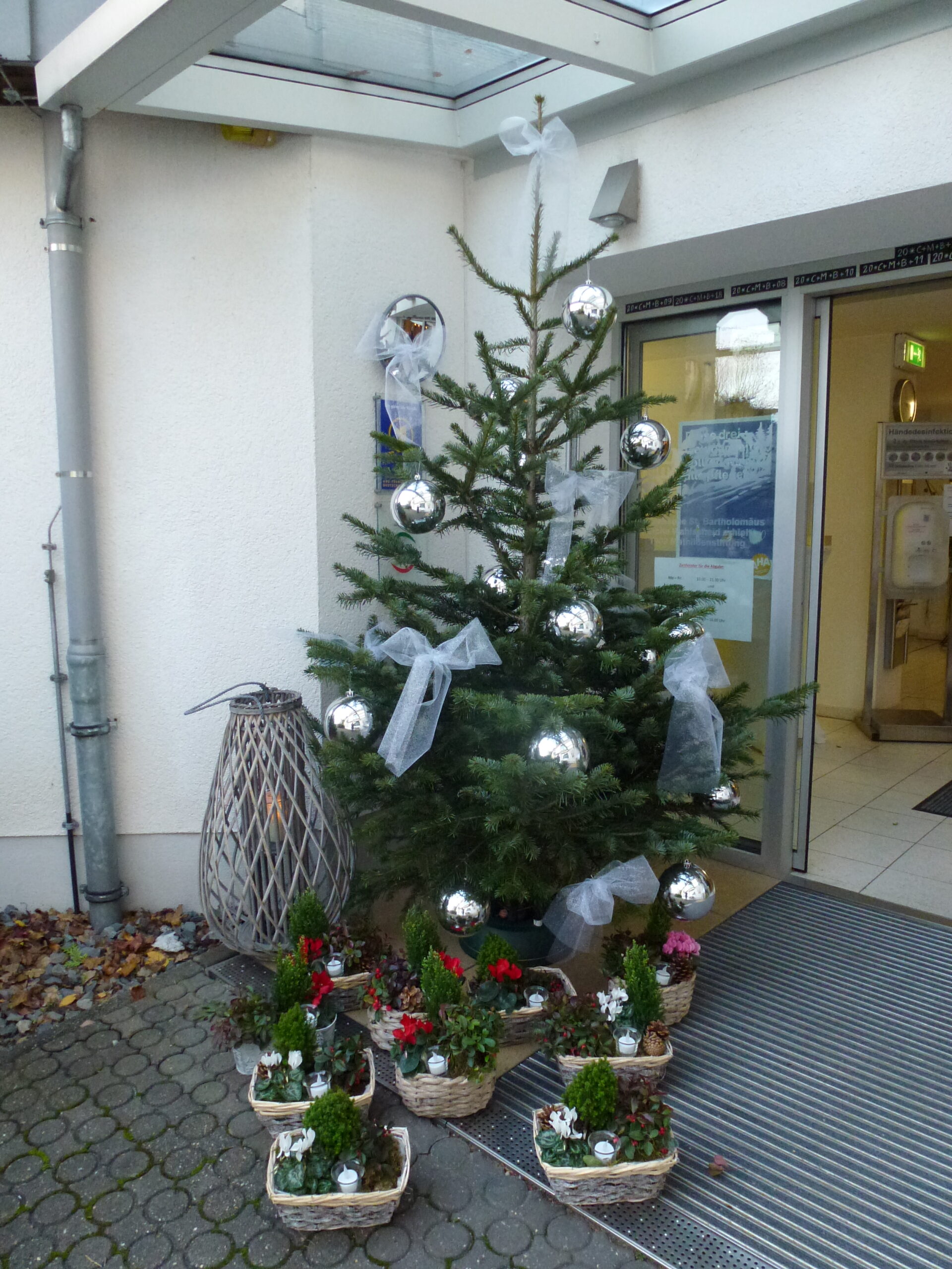 Weihnachtsbaum mit Blumengruß vor Eingang